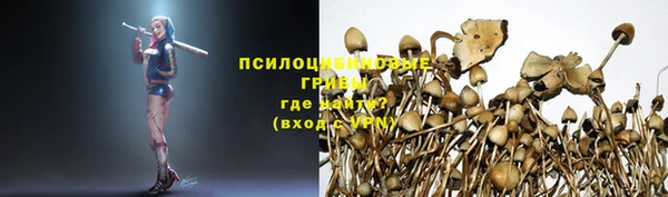 амф Балахна