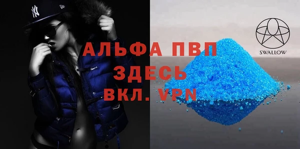 индика Баксан