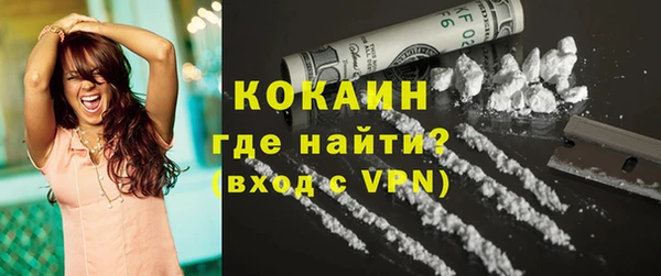 индика Баксан